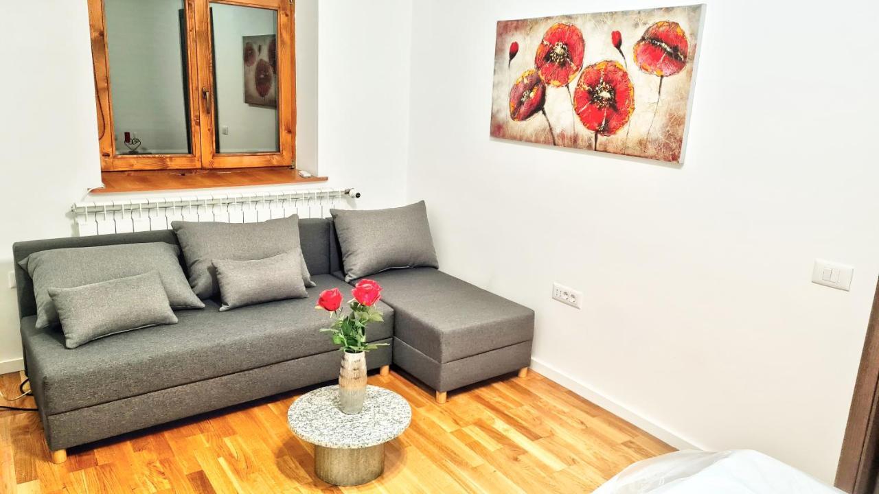 Spacious 5* Luxury In Historic Center Free Parking Cluj-Napoca Exterior photo